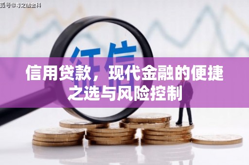 福建信用贷款，现代金融的便捷之选与风险控制