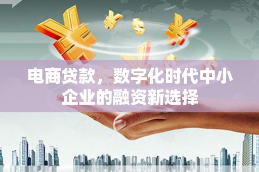 福建电商贷款，数字化时代中小企业的融资新选择