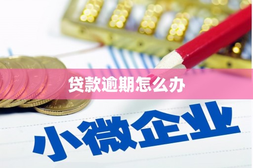 福建贷款逾期怎么办
