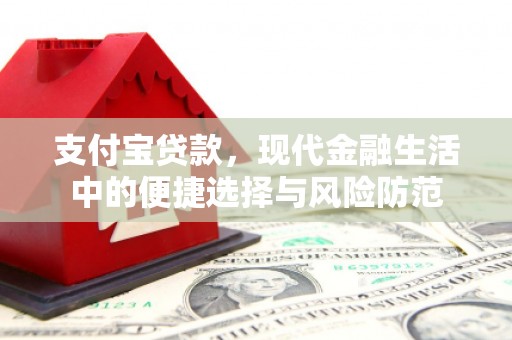 福建支付宝贷款，现代金融生活中的便捷选择与风险防范