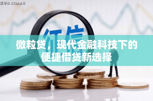 福建微粒贷，现代金融科技下的便捷借贷新选择