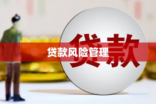 福建贷款风险管理