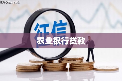 福建农业银行贷款