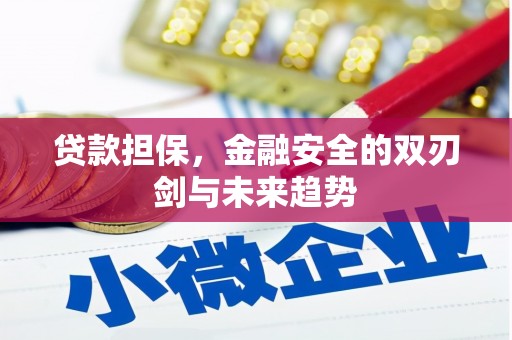 福建贷款担保，金融安全的双刃剑与未来趋势