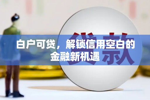 福建白户可贷，解锁信用空白的金融新机遇