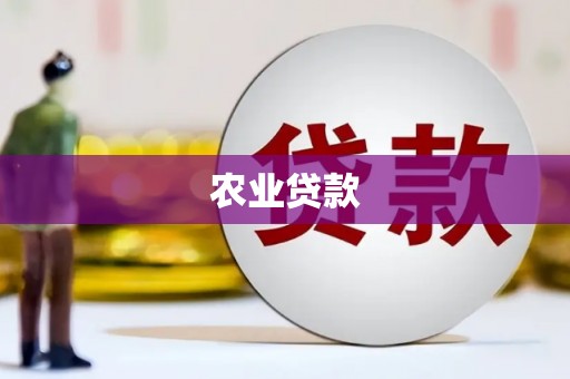 福建农业贷款