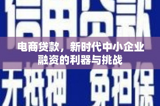 福建电商贷款，新时代中小企业融资的利器与挑战