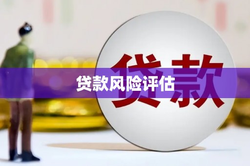 福建贷款风险评估