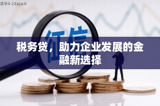 福建税务贷，助力企业发展的金融新选择