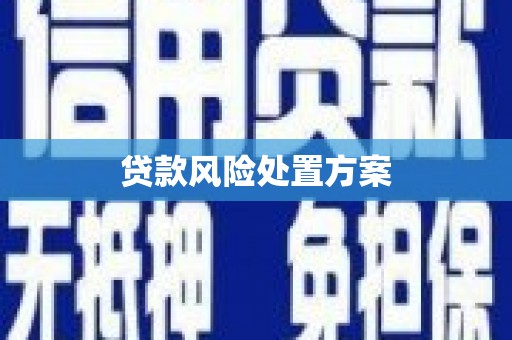 福建贷款风险处置方案