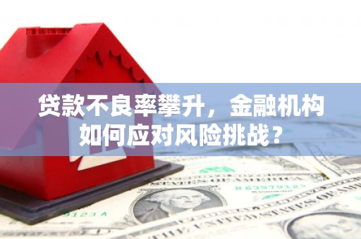 福建贷款不良率攀升，金融机构如何应对风险挑战？