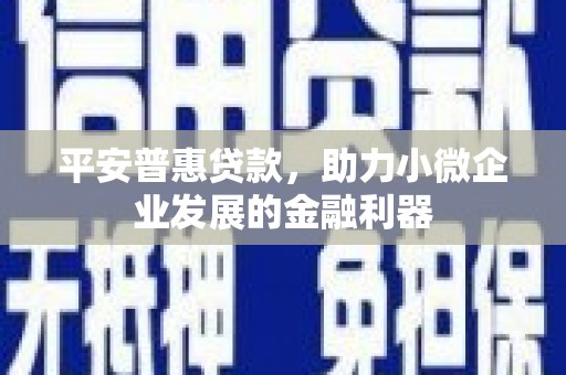 福建平安普惠贷款，助力小微企业发展的金融利器