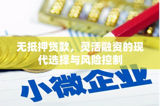 福建无抵押贷款，灵活融资的现代选择与风险控制