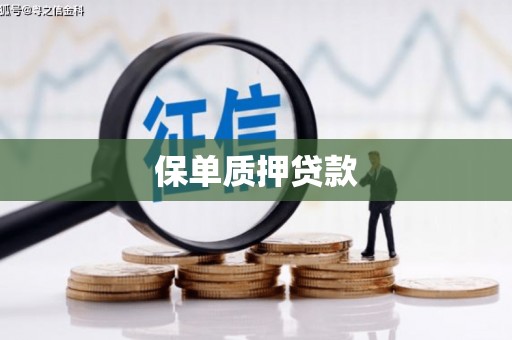 福建保单质押贷款