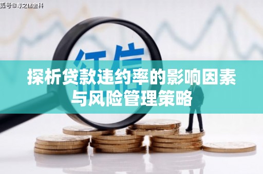 福建探析贷款违约率的影响因素与风险管理策略