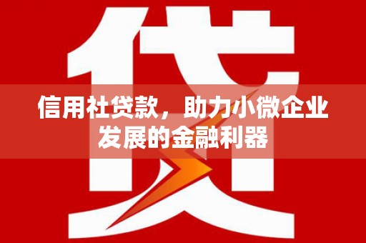 福建信用社贷款，助力小微企业发展的金融利器