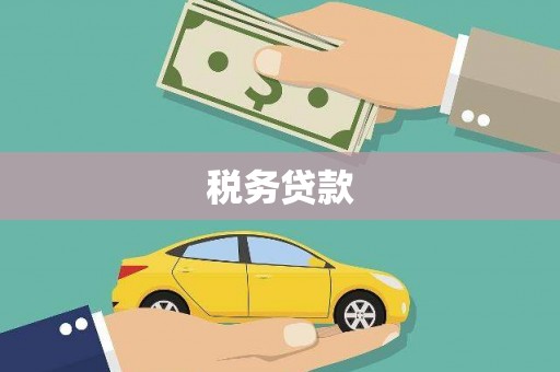 福建税务贷款
