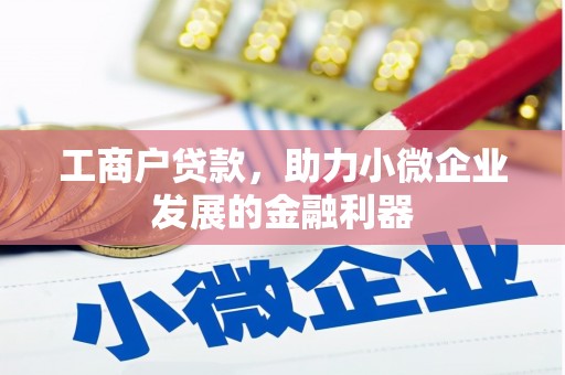 福建工商户贷款，助力小微企业发展的金融利器