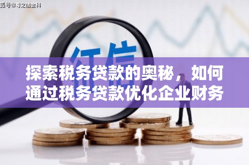 福建探索税务贷款的奥秘，如何通过税务贷款优化企业财务