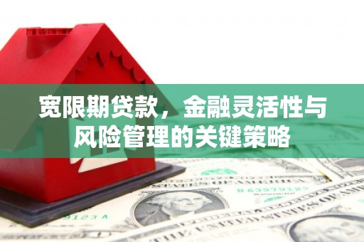 福建宽限期贷款，金融灵活性与风险管理的关键策略