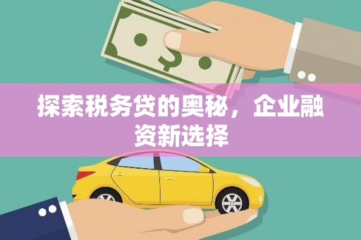 福建探索税务贷的奥秘，企业融资新选择