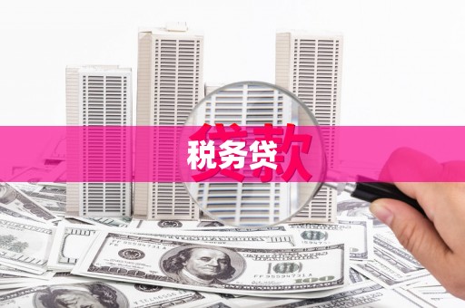 福建税务贷