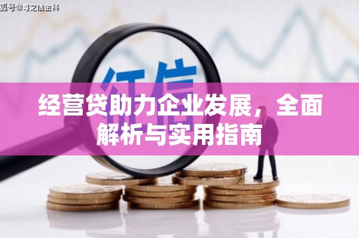 福建经营贷助力企业发展，全面解析与实用指南