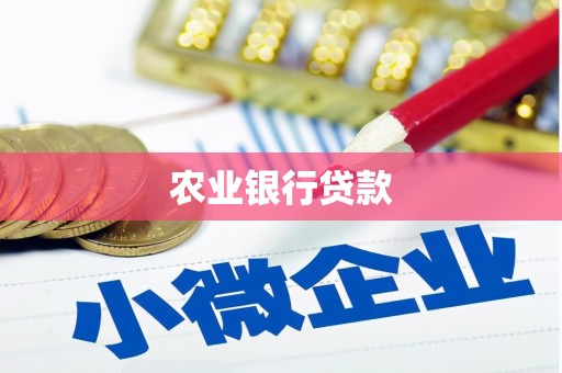 福建农业银行贷款