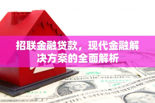 福建招联金融贷款，现代金融解决方案的全面解析