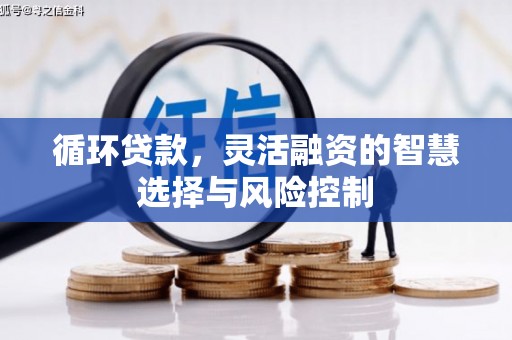 福建循环贷款，灵活融资的智慧选择与风险控制
