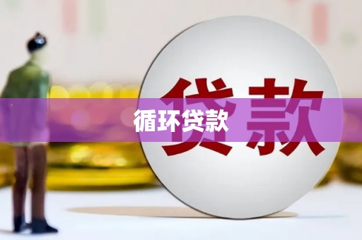 福建循环贷款