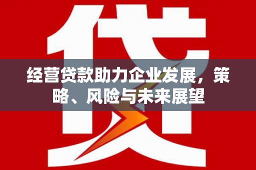 福建经营贷款助力企业发展，策略、风险与未来展望