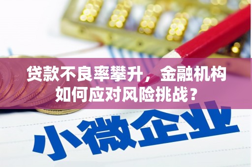 福建贷款不良率攀升，金融机构如何应对风险挑战？