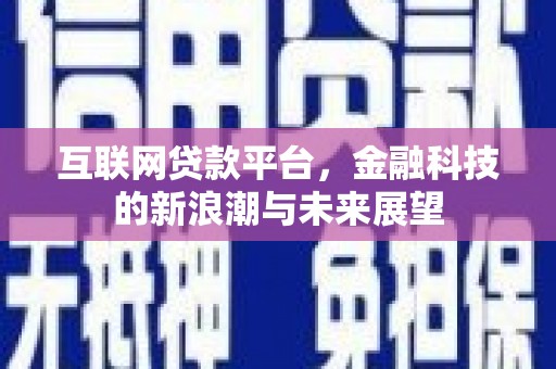 福建互联网贷款平台，金融科技的新浪潮与未来展望