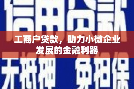 福建工商户贷款，助力小微企业发展的金融利器