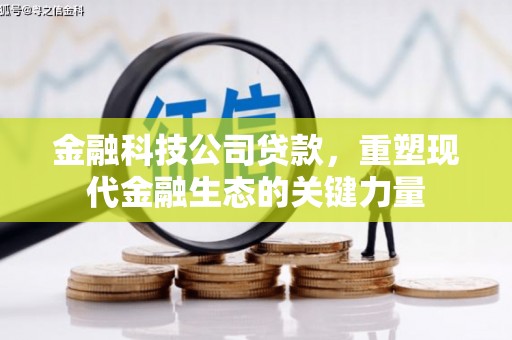 福建金融科技公司贷款，重塑现代金融生态的关键力量
