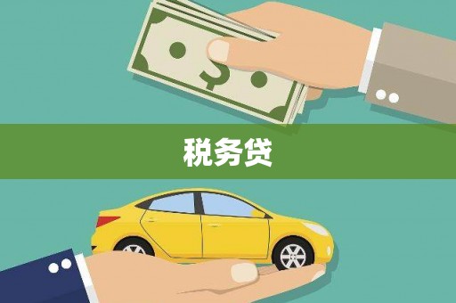 福建税务贷
