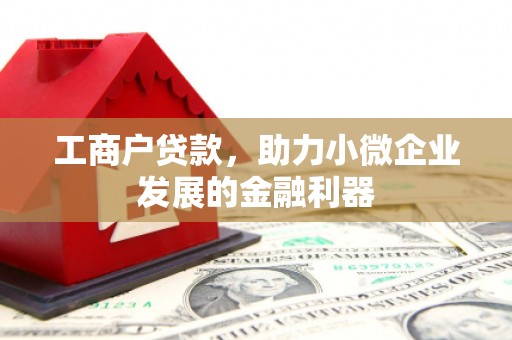 福建工商户贷款，助力小微企业发展的金融利器