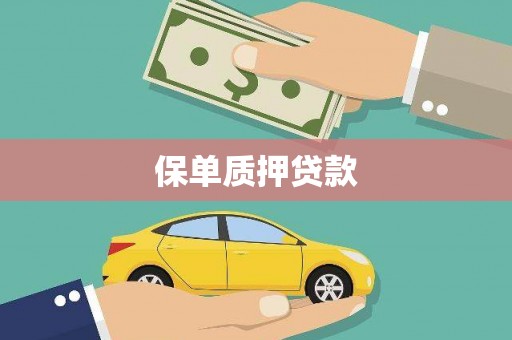 福建保单质押贷款