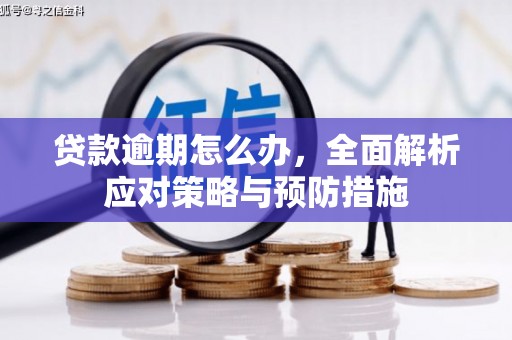 福建贷款逾期怎么办，全面解析应对策略与预防措施