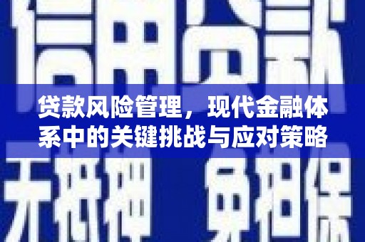 福建贷款风险管理，现代金融体系中的关键挑战与应对策略