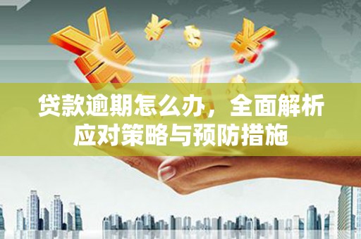 福建贷款逾期怎么办，全面解析应对策略与预防措施