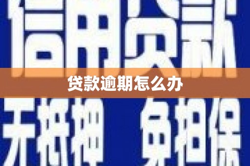 福建贷款逾期怎么办