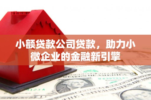 福建小额贷款公司贷款，助力小微企业的金融新引擎