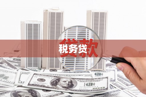 福建税务贷