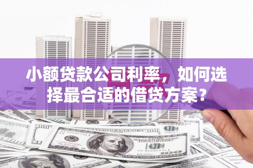 福建小额贷款公司利率，如何选择最合适的借贷方案？
