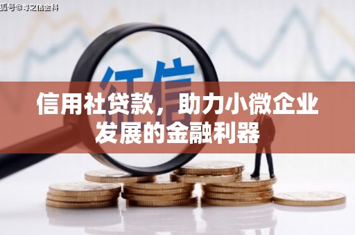 福建信用社贷款，助力小微企业发展的金融利器