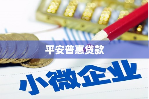 福建平安普惠贷款