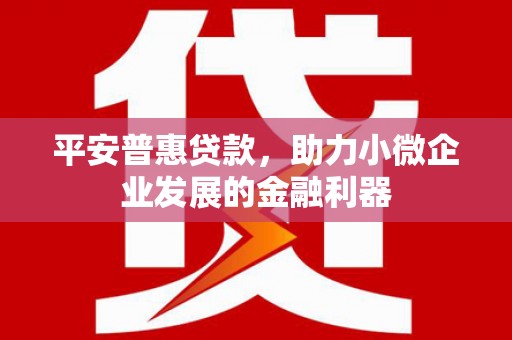 福建平安普惠贷款，助力小微企业发展的金融利器