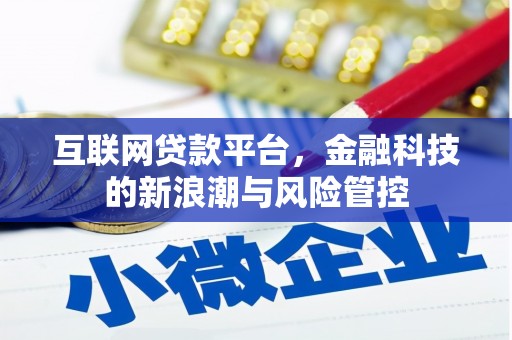 福建互联网贷款平台，金融科技的新浪潮与风险管控